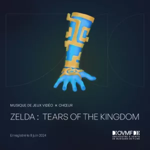 Album numérique Zelda : Tears of the Kingdom